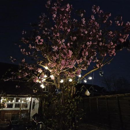 Lotus Pod House Homestay Horsell Eksteriør bilde