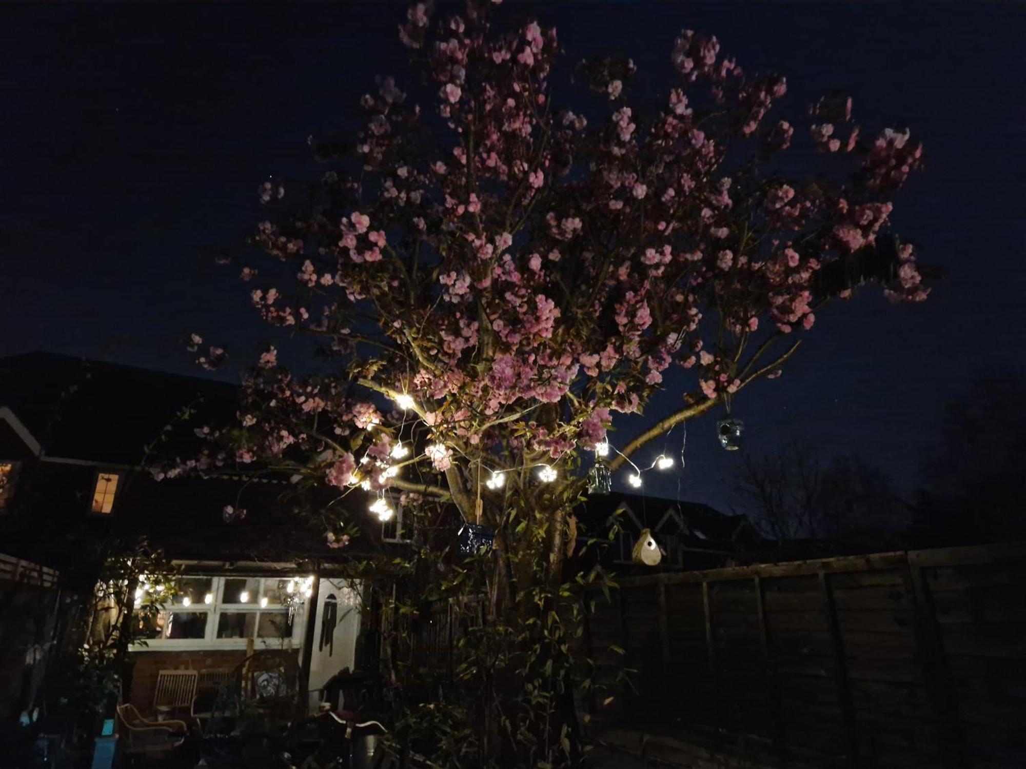 Lotus Pod House Homestay Horsell Eksteriør bilde
