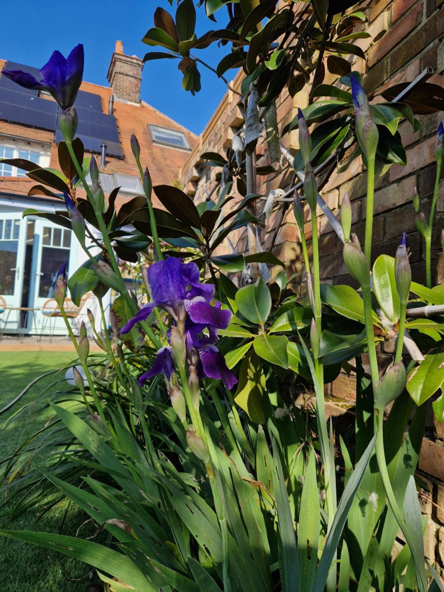 Lotus Pod House Homestay Horsell Eksteriør bilde